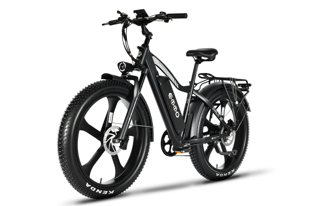 E-Wild Dual Ebike