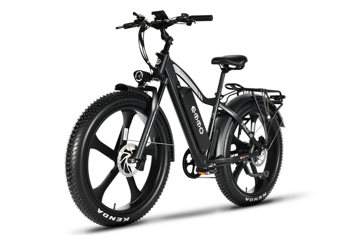 E-Wild Dual Ebike