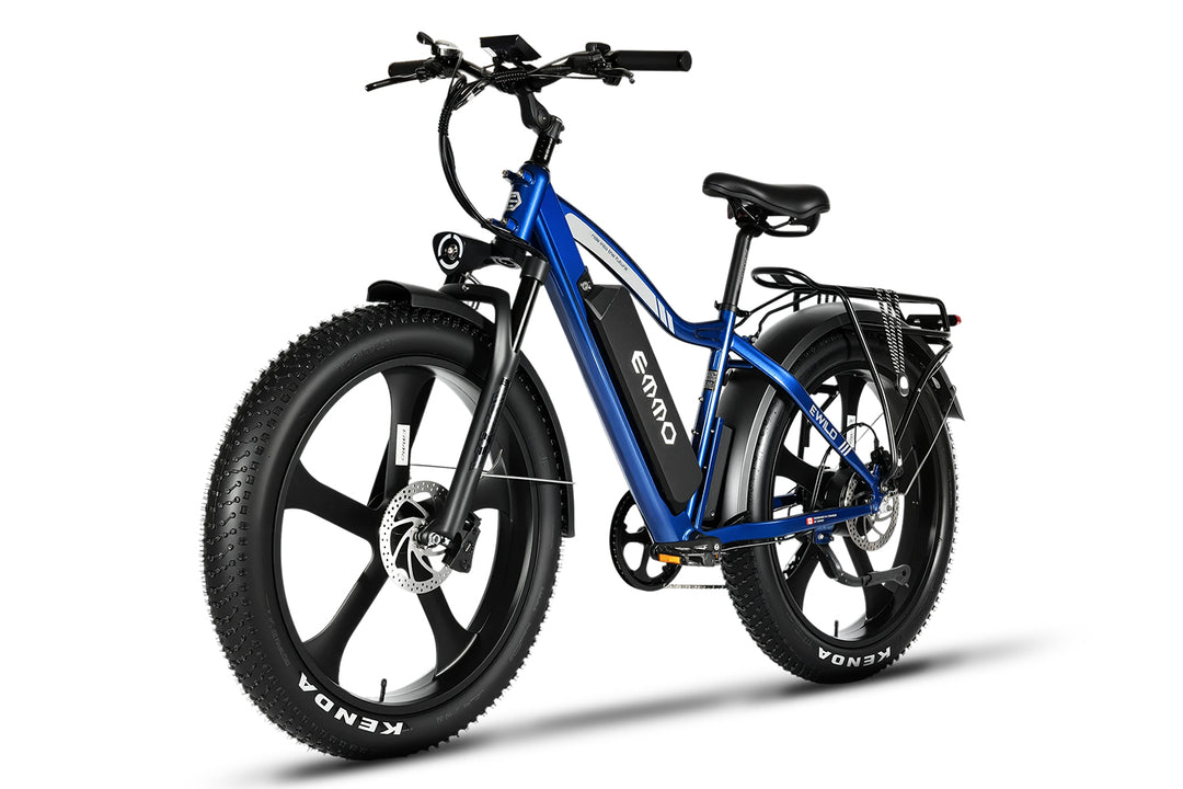 E-Wild Dual Ebike