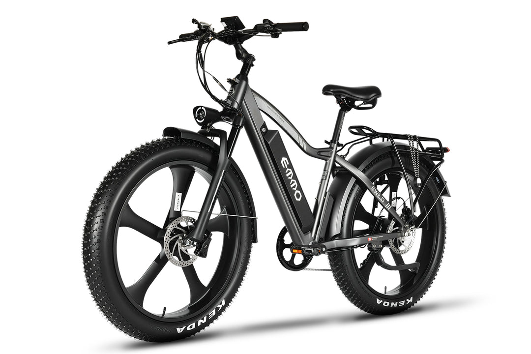 E-Wild Dual Ebike