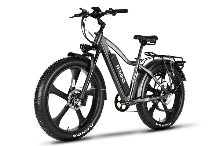E-Wild Dual Ebike