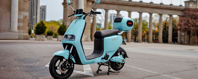 Do You Need a License to Drive a Moped in Ontario?