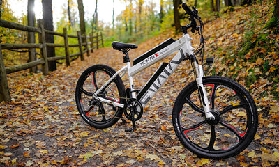 Enjoy the fall colors with your e-bike