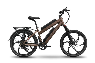 Dual Battery Ebikes