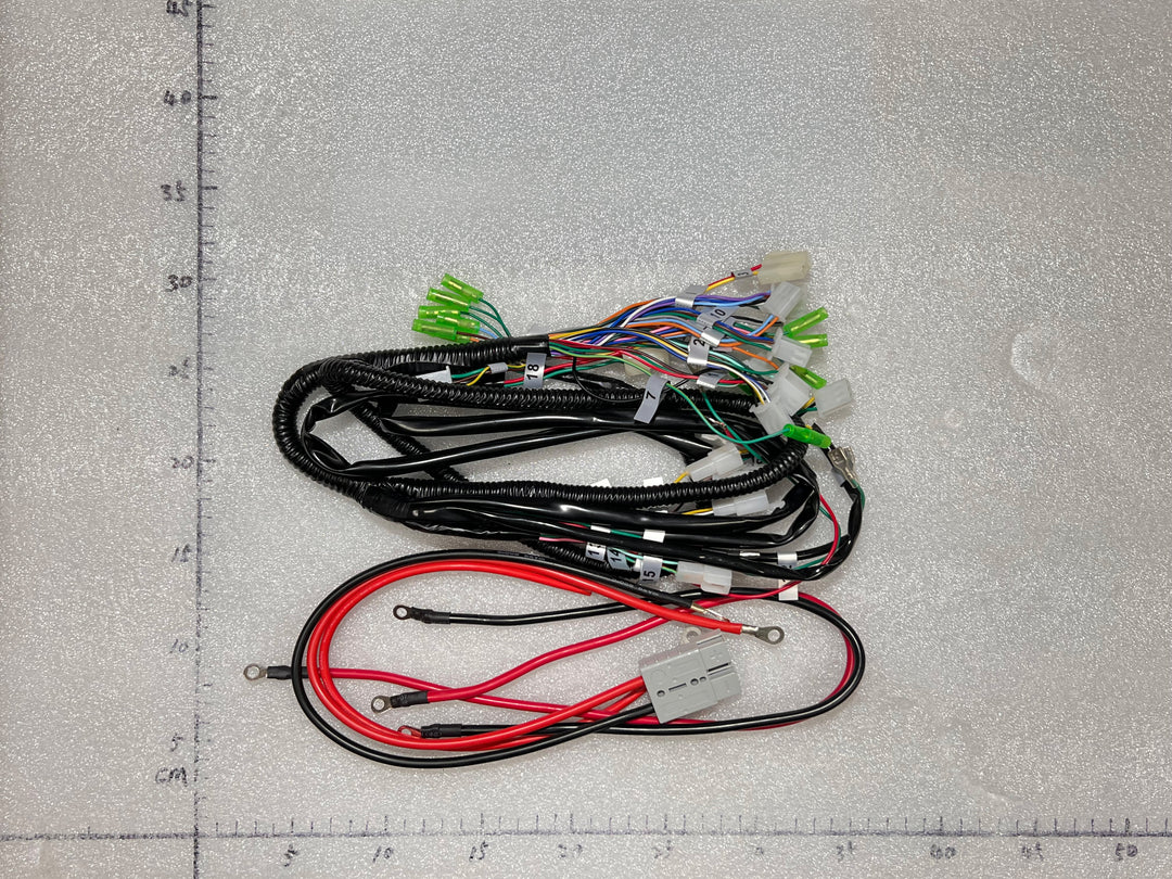 EMMO Main Wiring Harness Electric Motorcycle Electrical