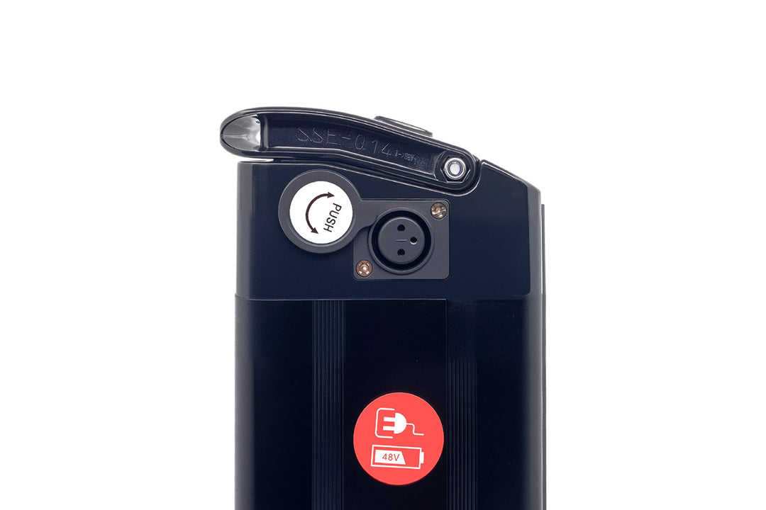 SafeSeal 48V Ebike Battery for EMINI, TROBIC