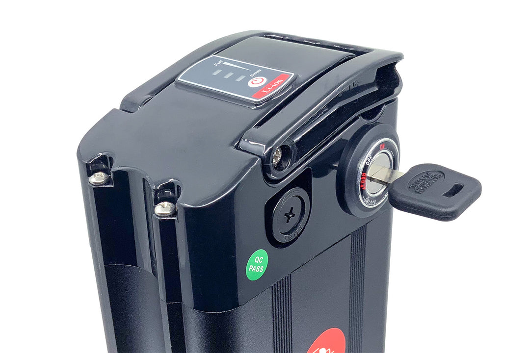 Batterie au lithium 48 V pour E-Mini, Trobic, Bitro 
