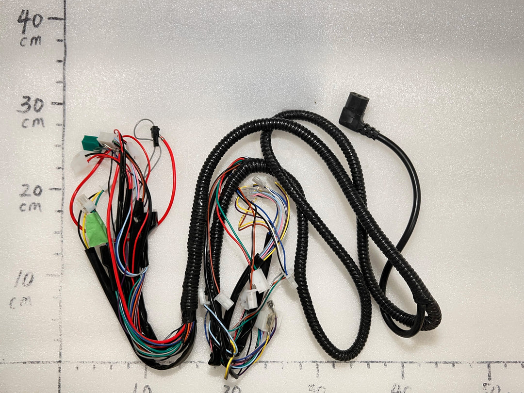 EMMO Main Wiring Harness Scooter Style E-Bike Electrical