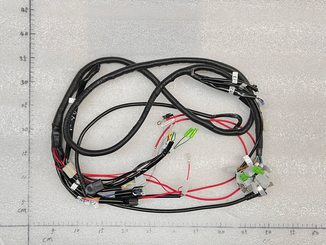 EMMO Main Wiring Harness Scooter Style E-Bikes Electrical