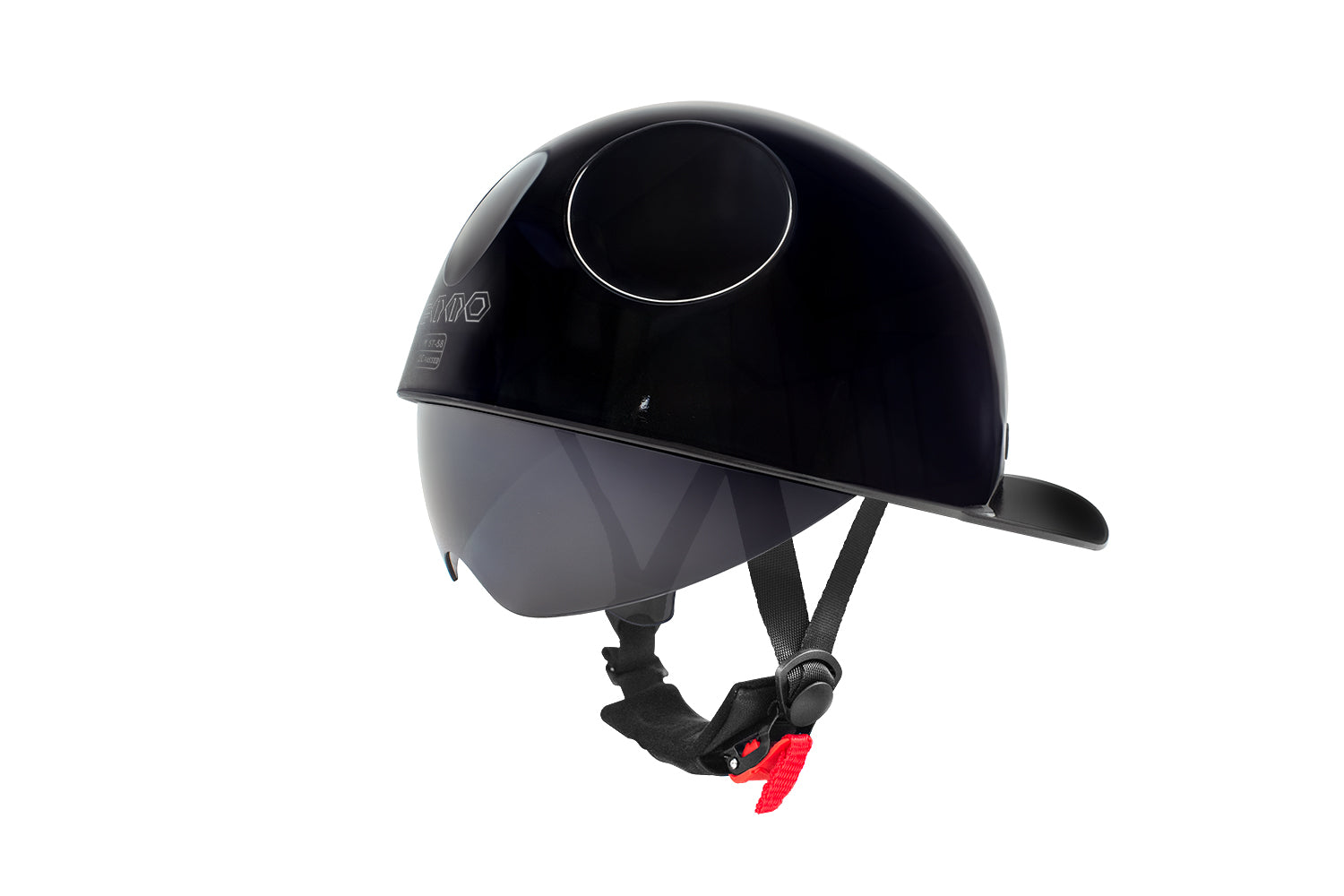 Helmet 319