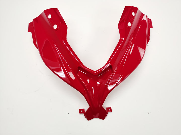 Coloured Windshield Y Panel