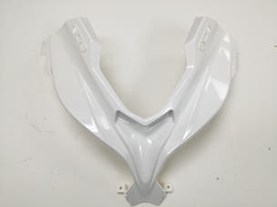Coloured Windshield Y Panel