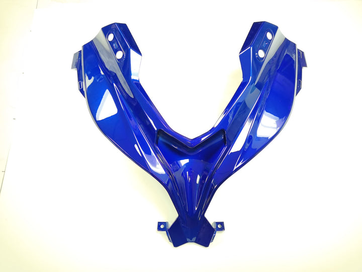 Coloured Windshield Y Panel