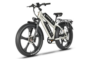 E-Wild Dual Ebike