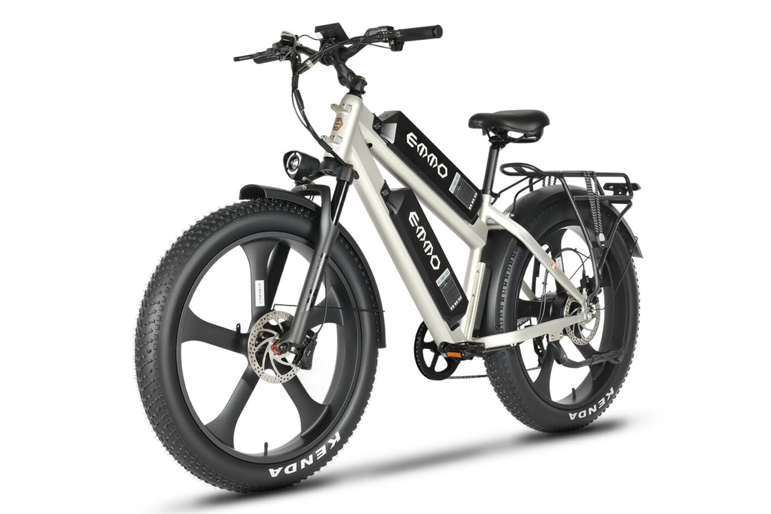 E-Wild Dual Ebike