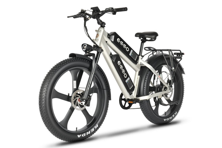 E-Wild Dual Ebike