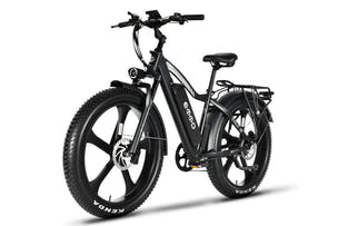 Black E Wild Pro equipped with 750W super-torque motor for stronger hill-climbing power.