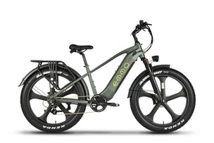 fat tire electric bike
