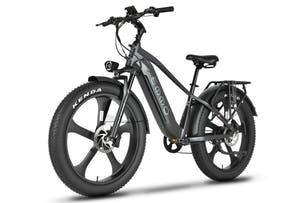 Midnight Black Ebike