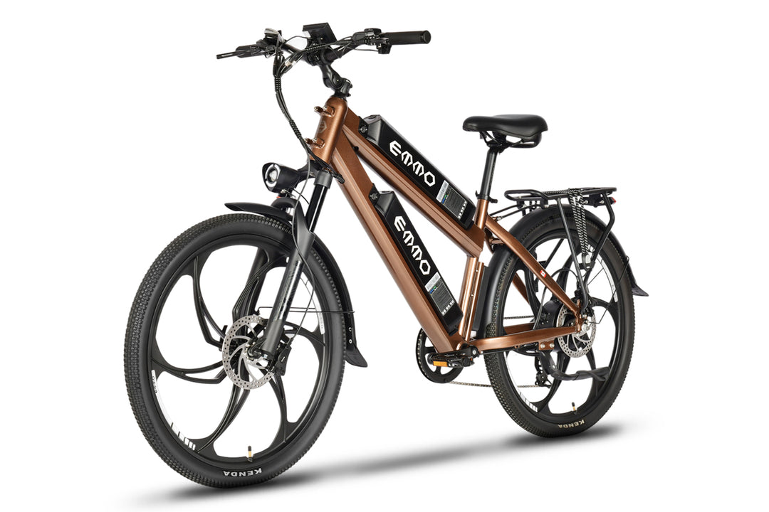 Monta Dual Ebike
