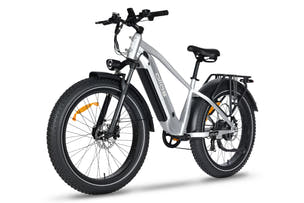 silver ebike