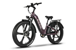Dusky Purple E-Bike